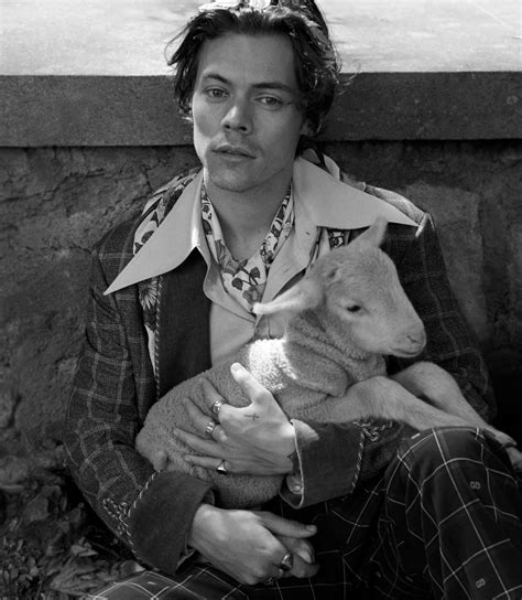 harry styles gucci shoot lamb